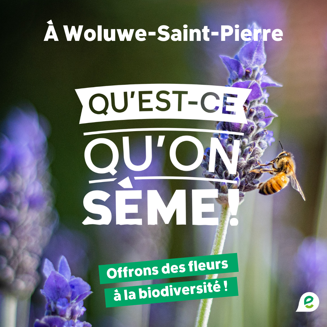 20210402_Image_QQS_visuel_generique